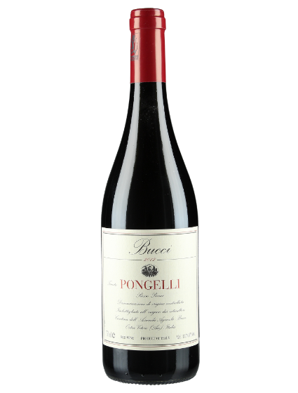 Rosso Piceno Tenuta Pongelli