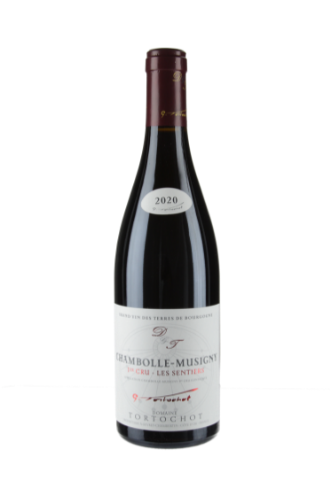 Chambolle Musigny Les Sentiers